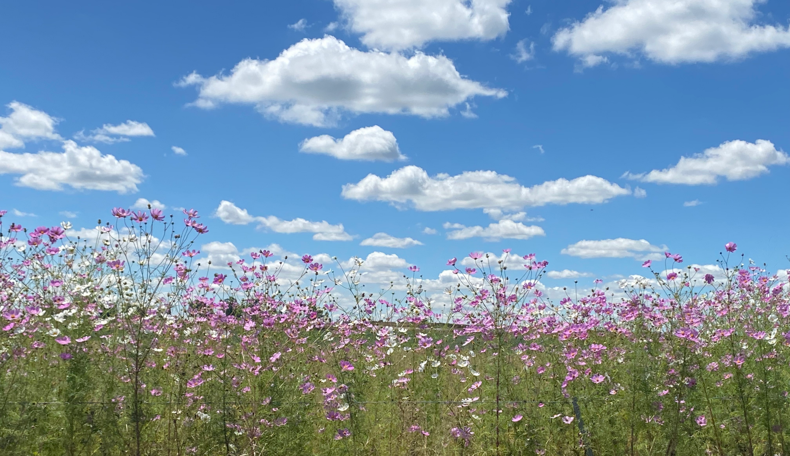 5 Simple Ways to Support a Grieving Soul